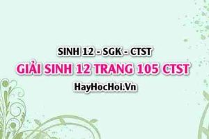 Giải Sinh 12 trang 105 Chân trời sáng tạo SGK